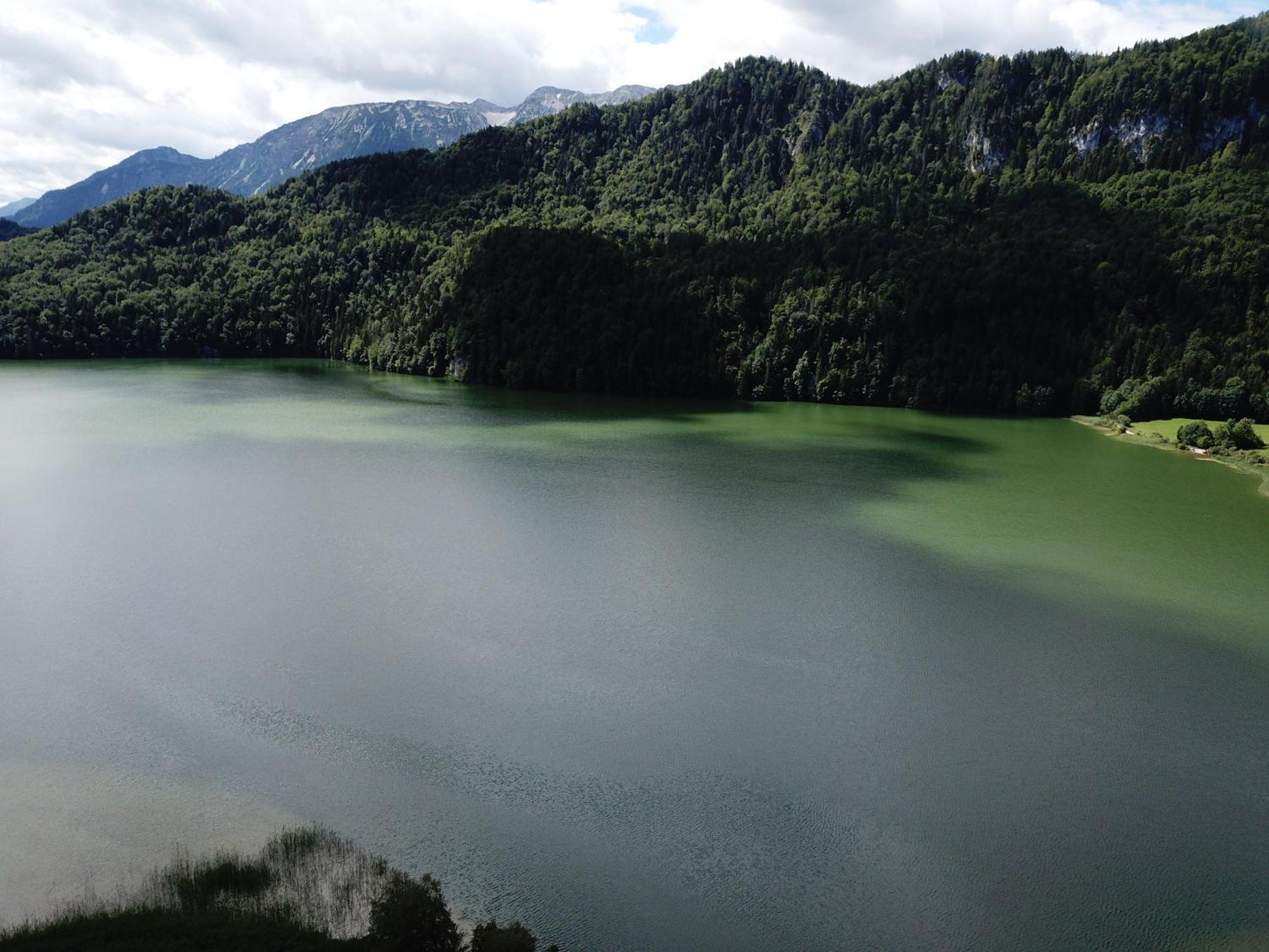 Landhaus Am Weissensee Füssen Buitenkant foto